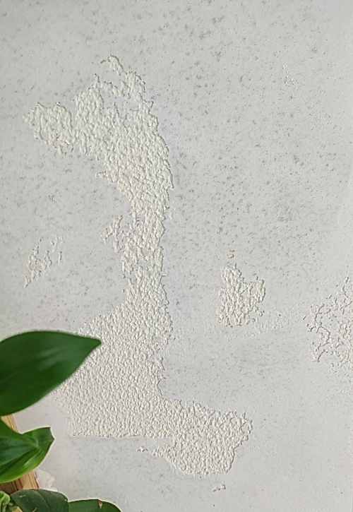 Duvar Boya Desenleri