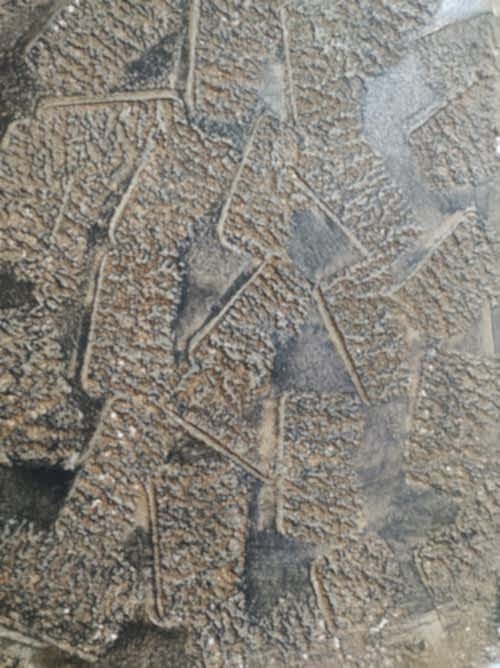 Duvar Boya Desenleri