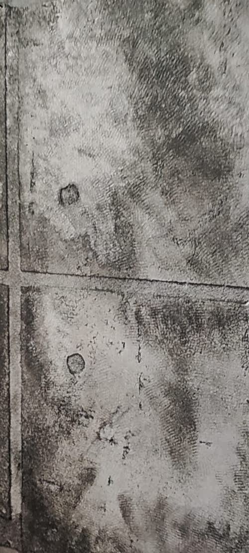 Duvar Boya Desenleri